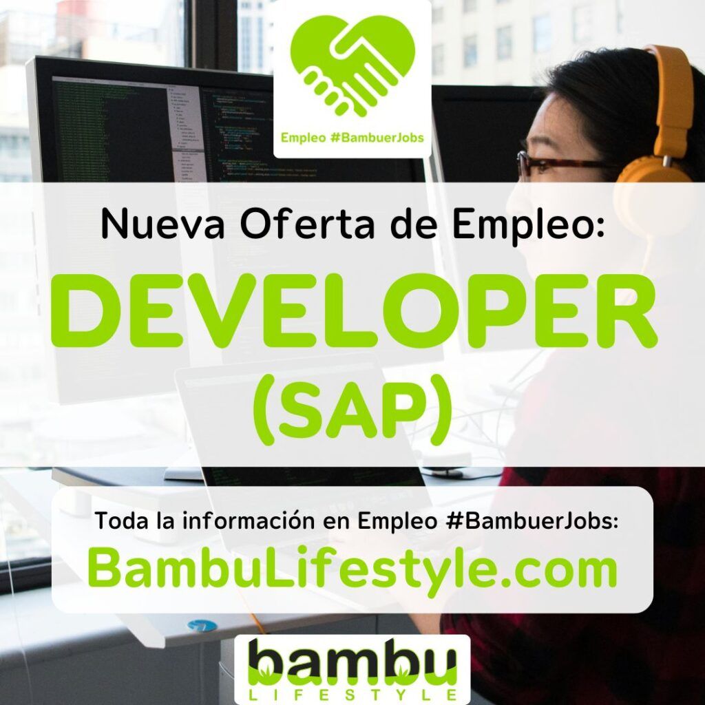 Developer - Empleo Bambuer